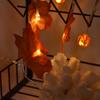 Maple Leaf String Light with Constant Light Flashing Dual Modes Indoor Outdoor Holiday Party Decors(  9.8ft 20LED )