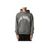 Jordan X A Ma Maniére FW24 Vintage Logo Letter Fashion Hoodie Unisex Hoodies Gray HF0540-029