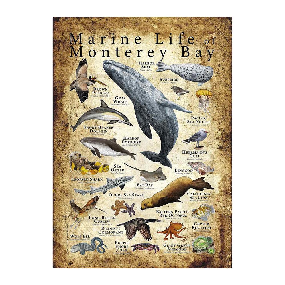 Abstrakt HD-tryck Fjäril Groda Fåglar Haj Marina Djur Collage Poster Canvas Målning Vintage Väggkonst För Barn Sovrum Heminredning