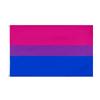 Stock All Inclusive Progress 3x5ft Polyester Big Rainbow Lesbian LGBT Gay Pride Flag Waterproof Lightweight