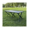 Tan Portable Folding Picnic & BBQ Table