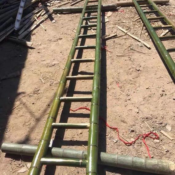 Бамбуковая лестница: Прямая, 2 м - 4 м Бытовая и Инженерная Лестница