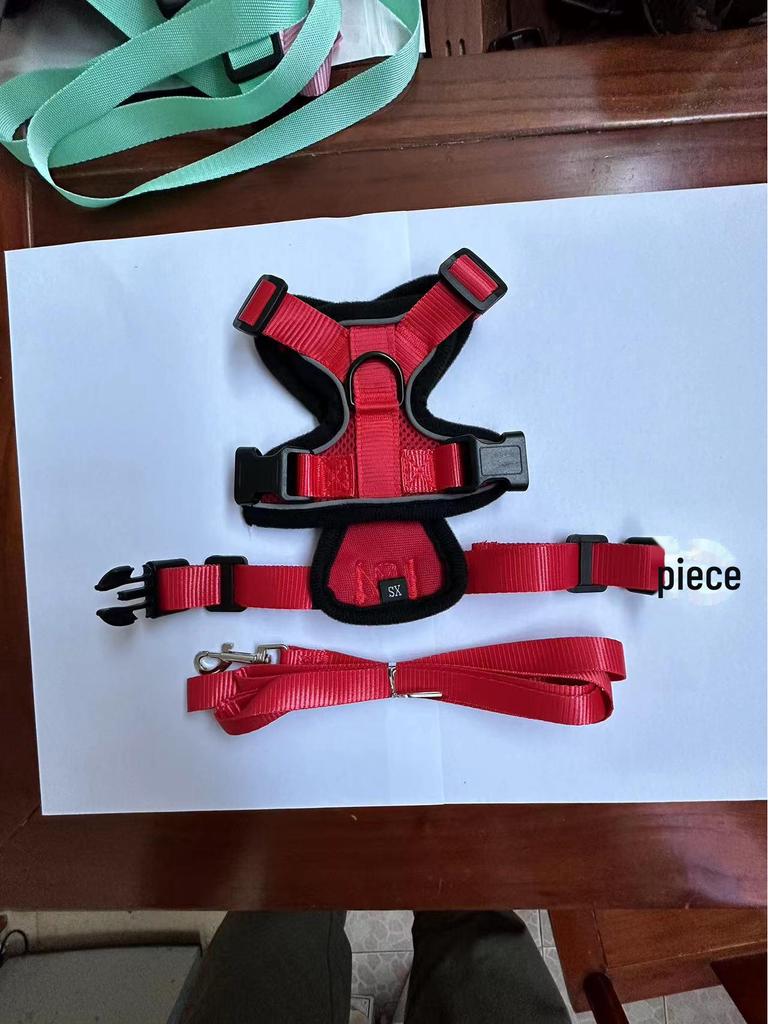 Adjustable Ultra-Thin Cat Harness with Anti-Breakaway Traction Rope for Walking 