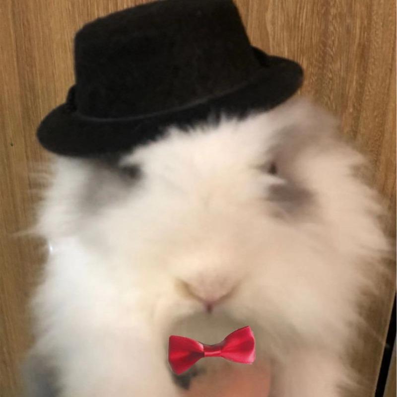 Pet Rabbit Guinea Pig Hamster Chinchilla Hedgehog Party Hat Set Festival Transformation Outfit Small Costume