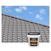 IsolBau Peinture de Toiture Dachfarbe Gris Béton 1.5