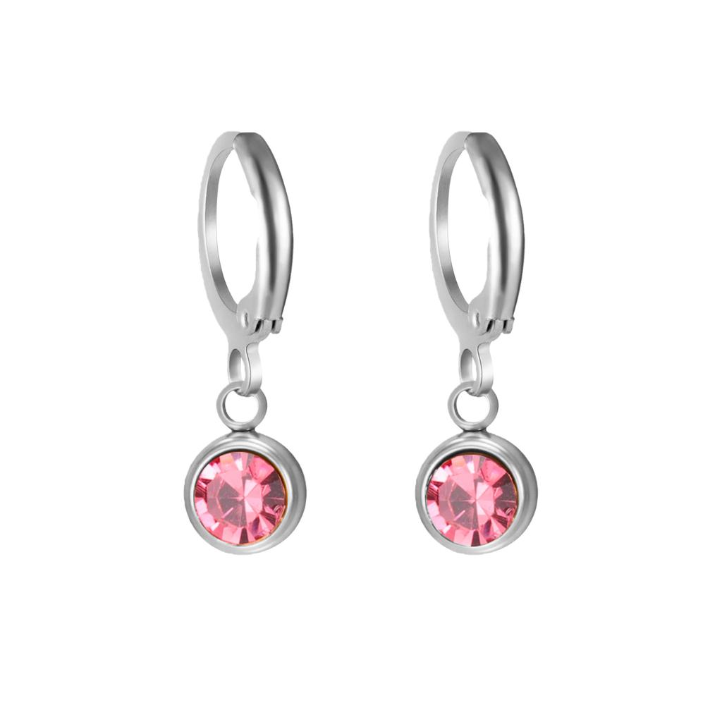 Birthstone Earrings Hoop Earrings Girl Women Stainless Steel Jewelry Family Friend Birthday Valentine's Day Gifts 2025 Trend