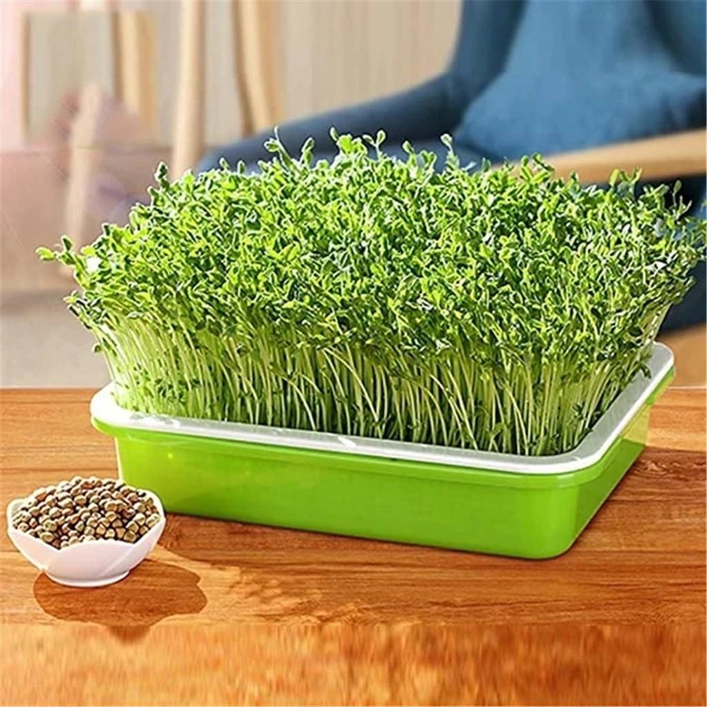 Hydroponic Home Gardening System Seedling Tray Double-layer Soilless Cultivation