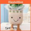 Plush Succulent Plant Doll Cartoon Potted Child Toy Room Decoration Holiday Gift