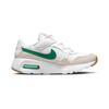 Nike Air Max SC Hook and Loop Low Top Running Shoes White Green Children Aged 3 7 Years Old CZ5356-104