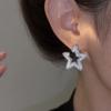 111 silver needle super flash five-pointed star earrings fashionable exquisite light luxury full diamond stud earrings versatile high-end earrings