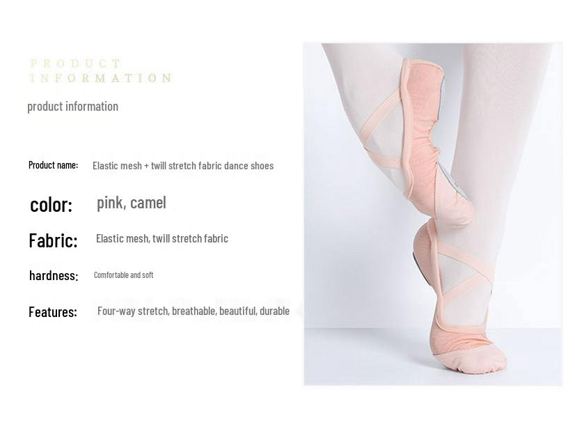 Women's Elastic Mesh Ballet & Yoga Dance Shoes - No Drawstring Cat Paw Design