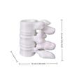 Fun Spine Shaped Pen Holder 3D Printed Sturdy Base 1Pcs Unique Novelty Gift for Medical School Students Learners
