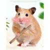 100g Teeth Grinding Apple Tree Stick Biting Tree Small Animal Toys for Hamster Guinea Pig Rabbit Squirrel Hedgehog
