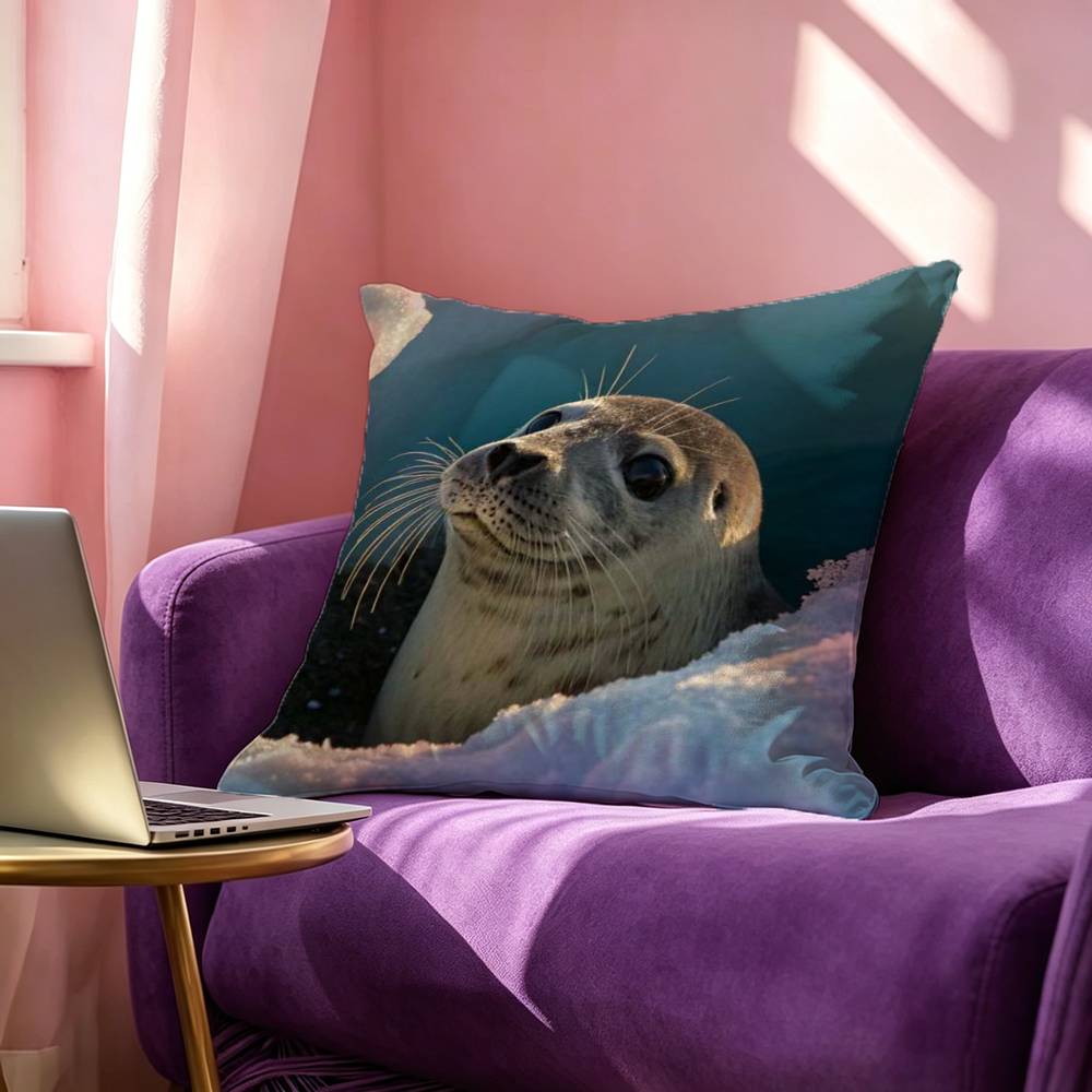 Cute and Funny Seals Square DoubleSided Printed Pillow Case Bedroom Bedside Pillow Sofa Cushion Cover