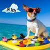 6122448Pc Black  Rubber Ducks With Sunglasses Sets Duck Toys Squeaky Rubber Ducks Cute Float Duckies For Party Favors