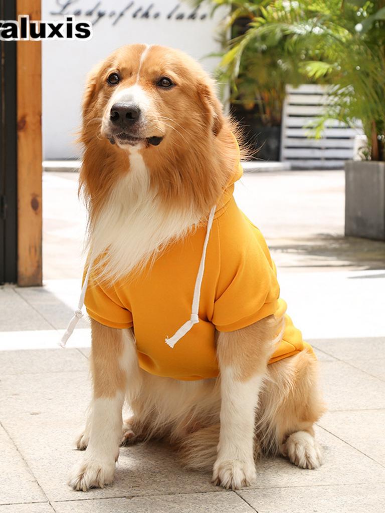 Fall Winter Fleece Golden Retriever Pocket Cat Dog Hoodie for Large Small Dogs Cats Pet Apparel