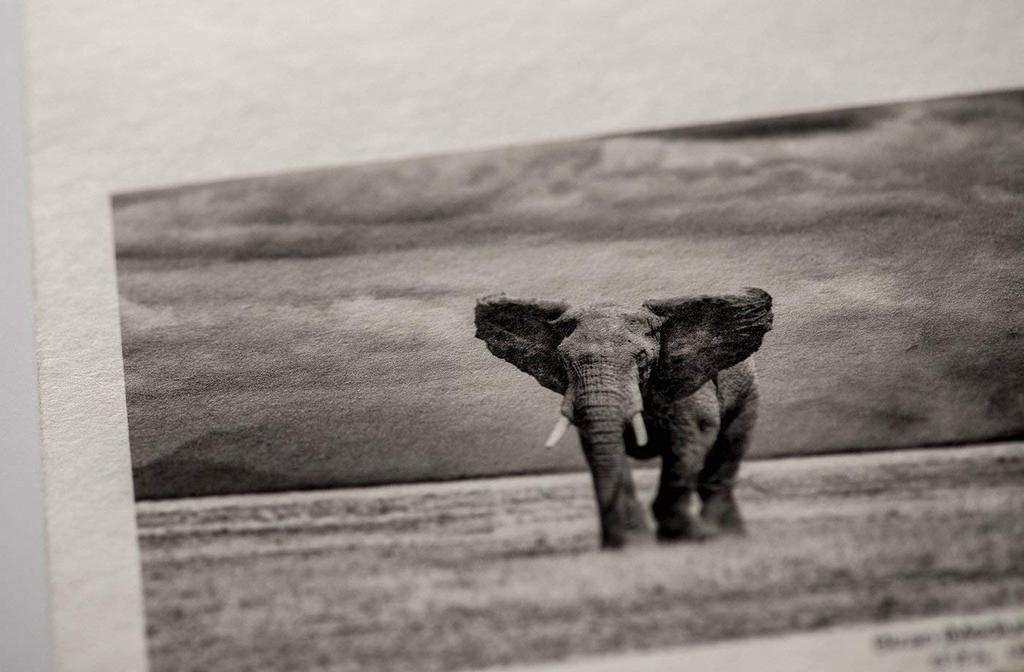 Awagami Factory Inkjet Printing Washi Bizan Paper, (IJ-3224 Natural/Medium Weight, A4)