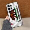 California Flag Phone Case For Samsung Galaxy S25 Ultra S9 S10 S20 S21 S22 Plus S24 FE S23 Ultra Back Cover