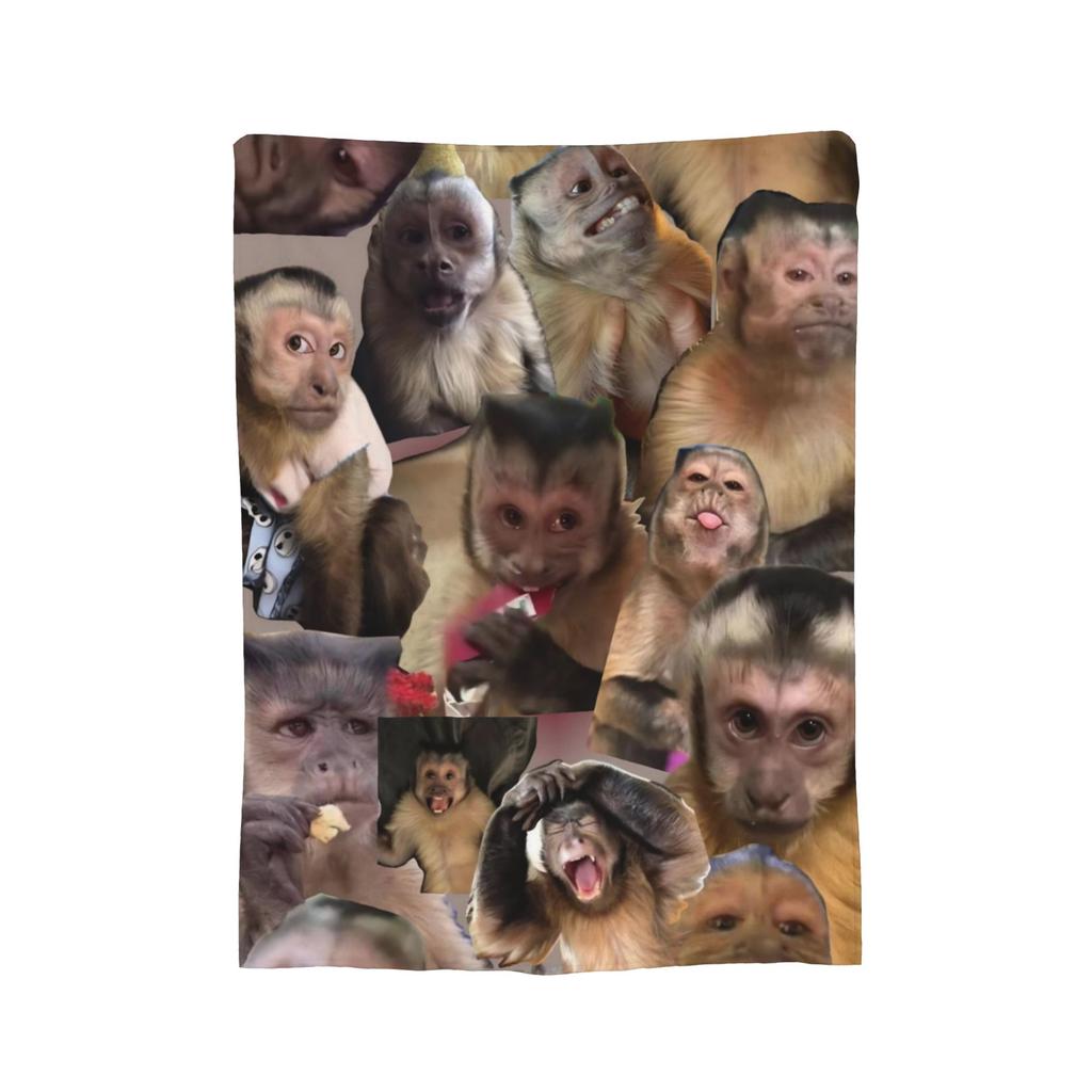 Apengezicht Grappige Meme Deken Ultra Zacht Plaid voor Bank 50x60 Inch Meerdere Maten Beddengoed Plaids