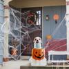 Halloween Outdoor  Dog Candy Bowl Decoration Ornaments