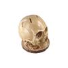 Simulated Skeleton Knife Stand Dilapidated Fruit Storage Rack Skull Knife Holder  Gift