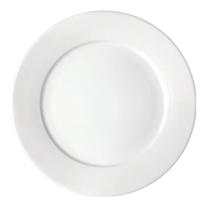 Driane Pure White Ceramic Dinner Plate