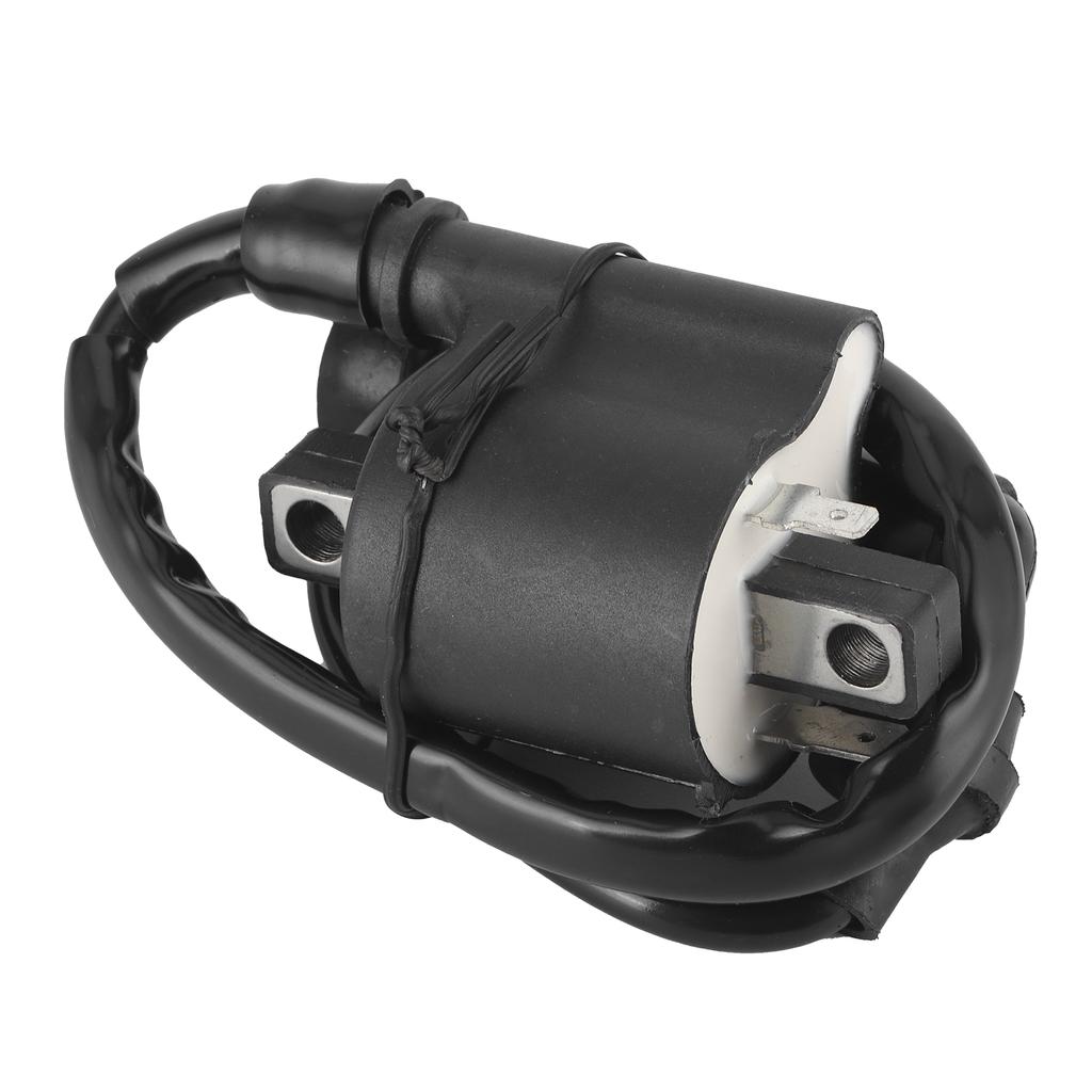 Ignition Coil 1D6?82310?00?00 Repalcement Fit for Yamaha Royal Star 1300Venture 1300Boulevard 1300