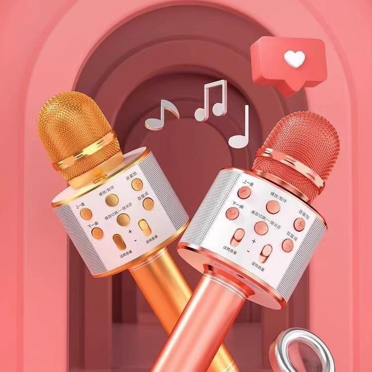 "WS-858 Wireless Bluetooth Karaoke Microphone for Kids – Integrated Audio & Singing"