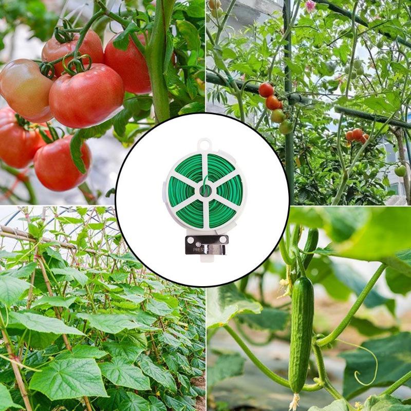 20/30/50/100M Roll Wire Ties Gardening Climbing Vines Fixed Ropes Flower Plant Support Strap Green Garden Cable Brackets Ties