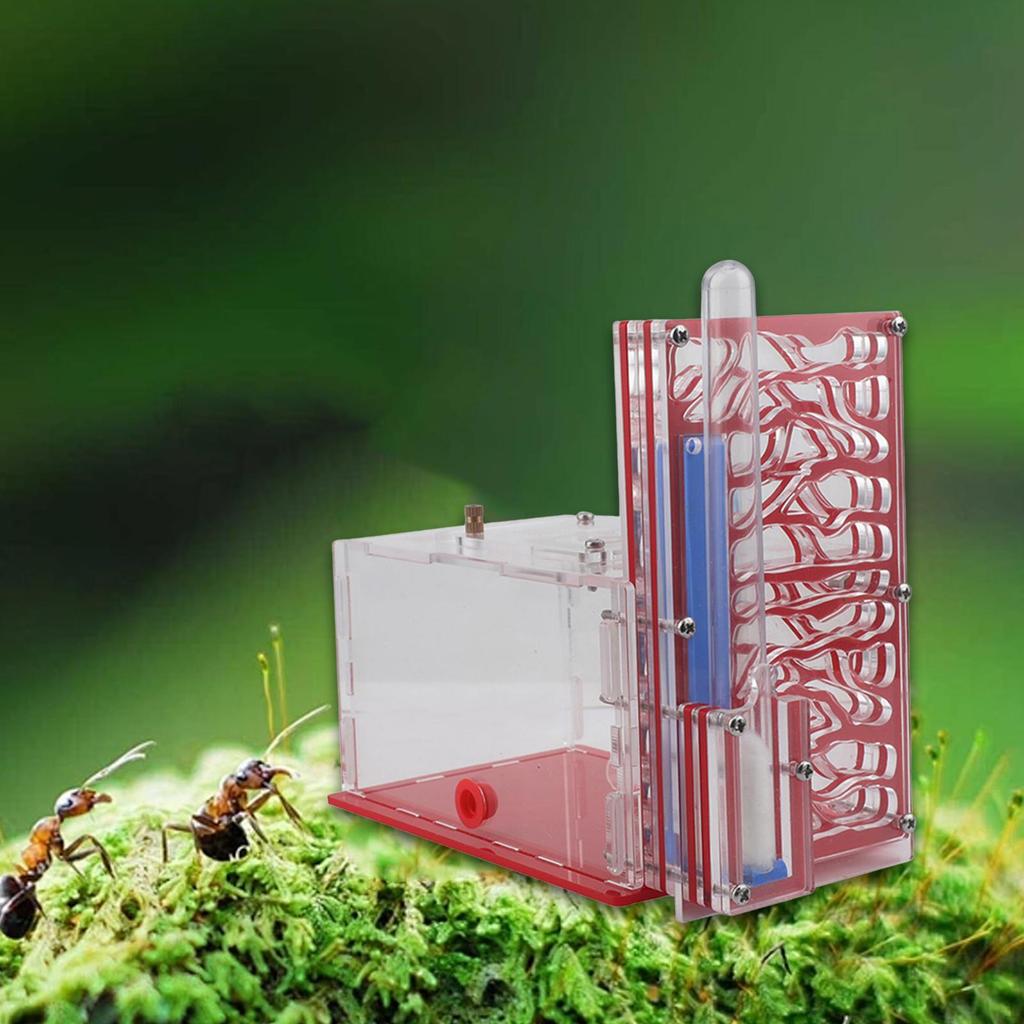 Compact DIY Moisture Nest Box for Science Observation Living Room Home Kitchen