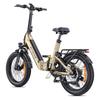 ENGWE L20 3.0 BOOST Electric Bicycle Adult 250W Motor 48V13.5AH Battery 20" Fat Tires Electric Bike