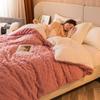 Nytt vinterteppe Hjem Varm Sherpa Mykt Sofatrekk Kast Nyfødt Wrap Barn Sengeteppe Reise Tekstil Fleece Tykt Varmt teppe