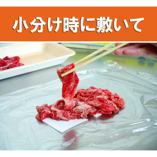 Arland Drip Absorbent Sheets for Delicious Thawing of Meat and Fish (100 Sheets)