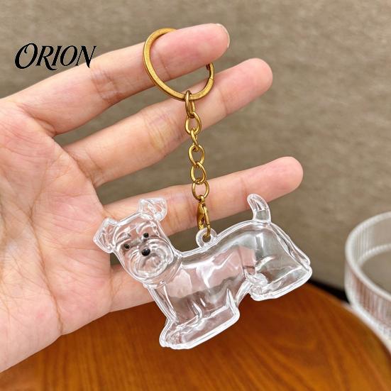 Pet Loss Sympathy Gift Hair Memorial Keychain, Dog Keepsake Holder, Transparent Jewelry Bottle Pendant, Portable Commemorative Charm for Keys