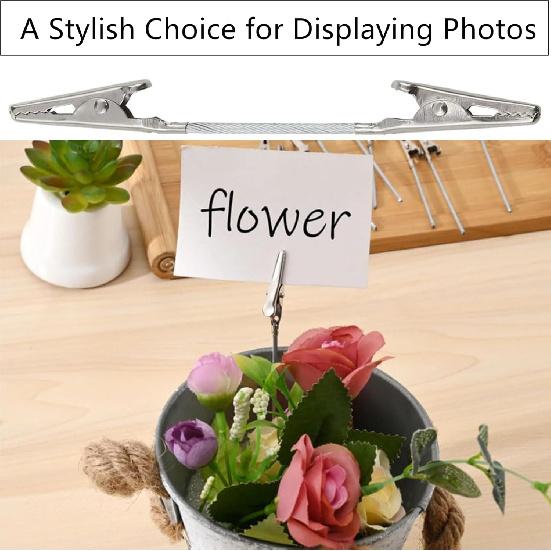 10 Pcs Double Sided Metal Alligator Clips for Crafts, Photos, Notes, Silver