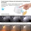 Rechargeable LED Wall Sconce AIMOONSA — Touch Control, USB Type-C, 3 Temperatures, 3 Brightness Levels, 360° Rotation