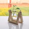 Bulb Vase Wooden Stand Pot Terrarium