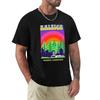 Raleigh Rainbow Retro TShirt Man Clothes for a Boy Vintage Anime Shirt Mens T Shirts