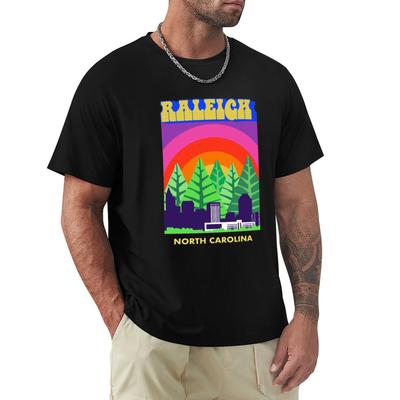 Raleigh Rainbow Retro TShirt Man Clothes for a Boy Vintage Anime Shirt Mens T Shirts
