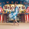 1 Standard-sized, large-scale circus festival background.Welcome to the circus festival banner background photo background board