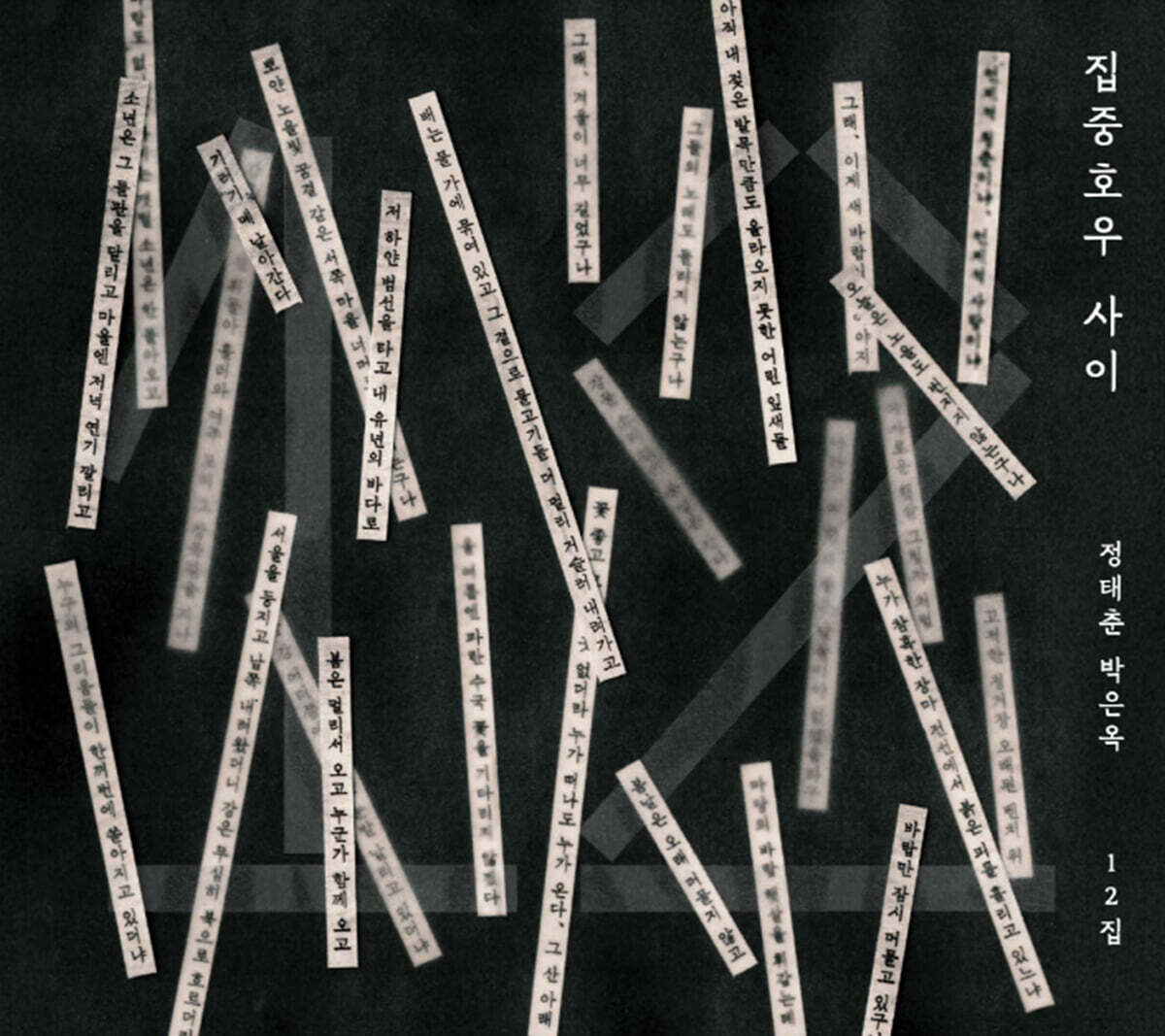 Jeong Tae Chun & Park Eun Ok - 12th Album: In Between Heavy Rain