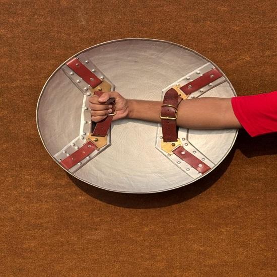 Wonder Woman Shield  Steel Replica  A Unique Halloween  Christmas Cosplay Gift