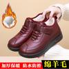 Old Beijing Winter Women's 2025 New Cotton Shoes Fleece Thickened Warm Middle-aged and Elderly Snow Boots Non-slip Mom Cotton Boots