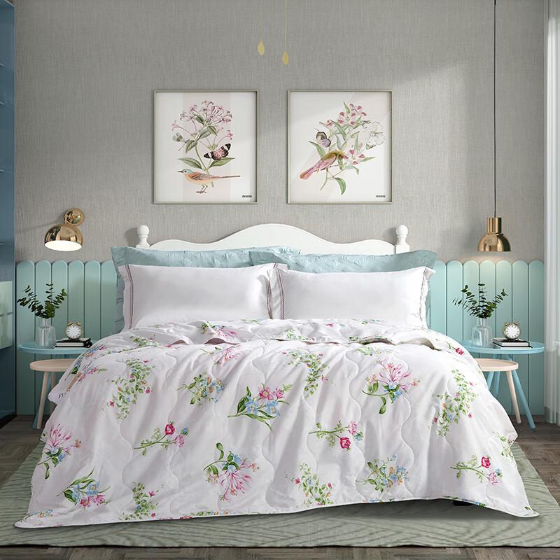 FUANNA Cloud Breeze Lightweight Summer Comforter