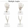 Halloween Gothic Skeleton Hand Decoration Tabletop Ornament for House Party Decor