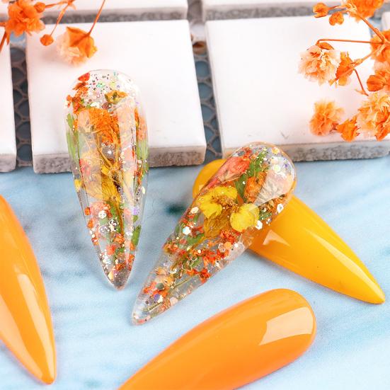 Nail Art Trockenblumen Einzigartige exquisite konservierte Nagelaufkleber aus Kunststoff für Nagelstudios