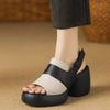 Fashion Open Toe Platform Block Heel Sandals Women's 2025 Summer New Comfortable and Versatile Platform One Buckle High Heels