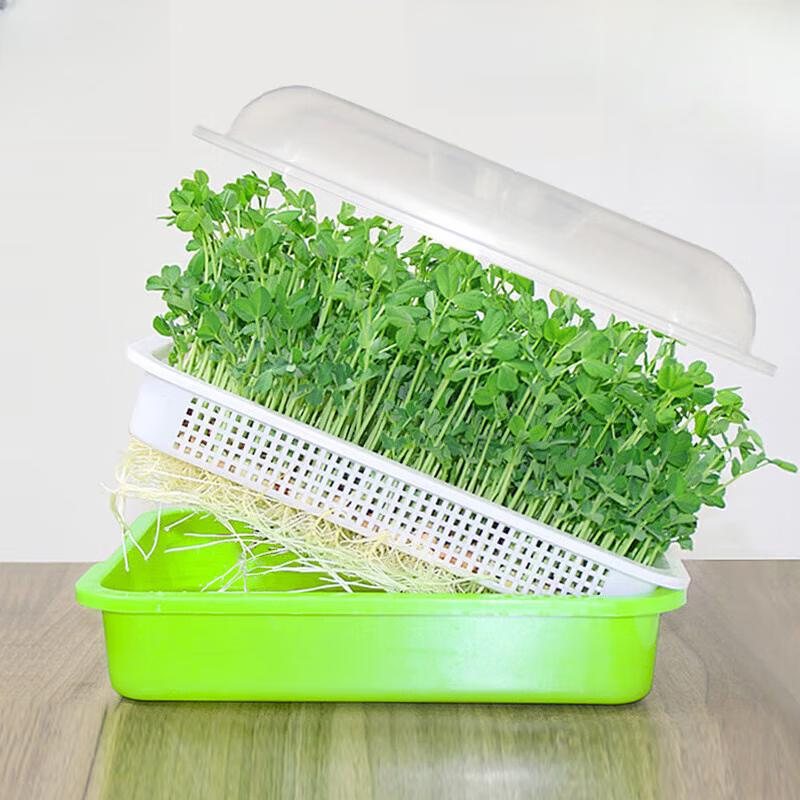 Hydroponic Sprouting Seedling Tray (2-Pack)