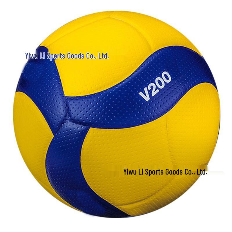 LISM V200W Student Training Volleyball