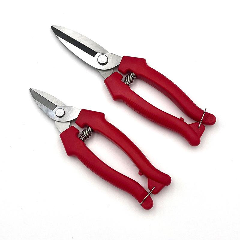 Stainless Steel Pruning Scissors for Garden, Branch, and Flower Arranging